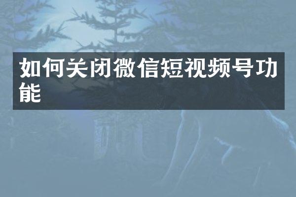 如何关闭微信短视频号功能