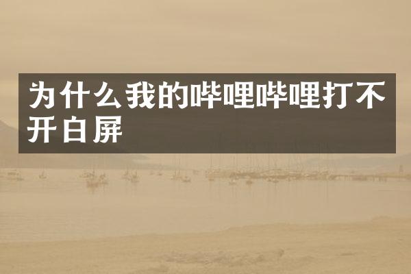 为什么我的哔哩哔哩打不开白屏