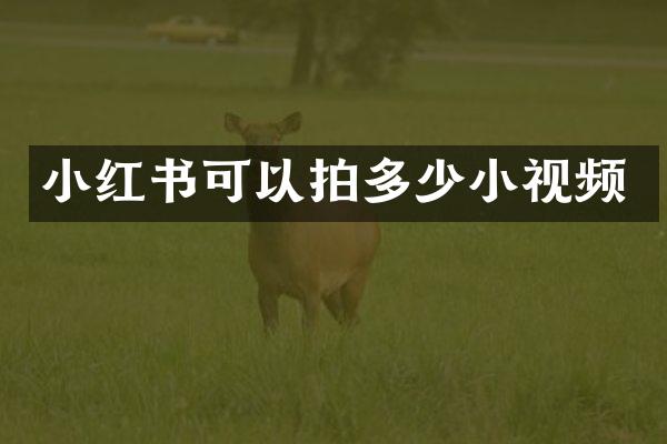 小红书可以拍多少小视频