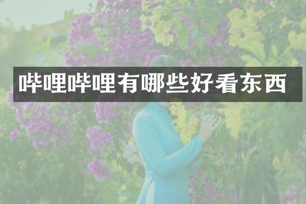 哔哩哔哩有哪些好看东西