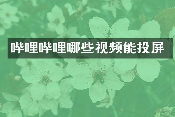 哔哩哔哩哪些视频能投屏