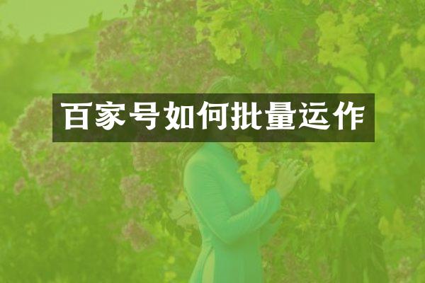 百家号如何批量运作
