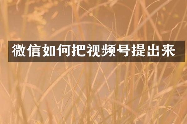 微信如何把视频号提出来