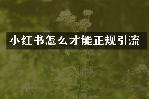小红书怎么才能正规引流