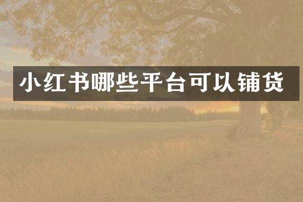 小红书哪些平台可以铺货