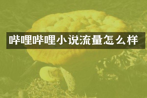 哔哩哔哩小说流量怎么样