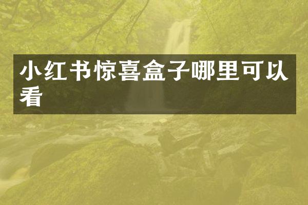 小红书惊喜盒子哪里可以看