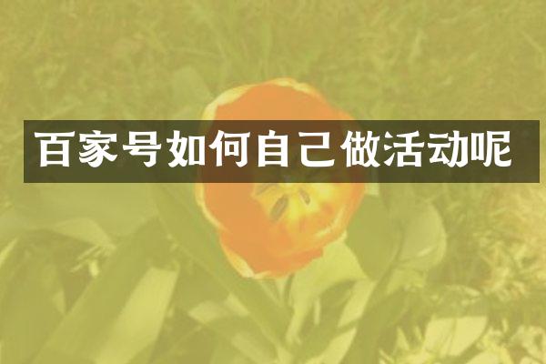 百家号如何自己做活动呢
