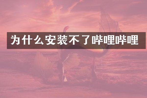 为什么安装不了哔哩哔哩