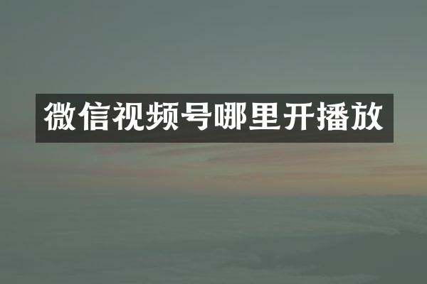 微信视频号哪里开播放