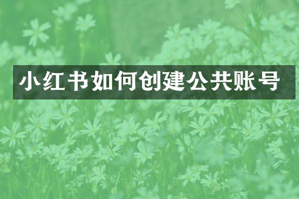 小红书如何创建公共账号
