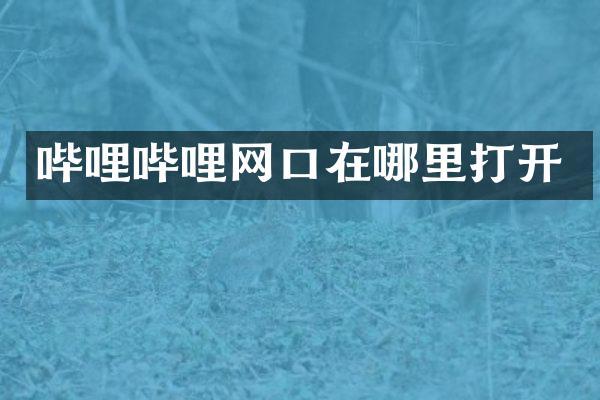哔哩哔哩网口在哪里打开