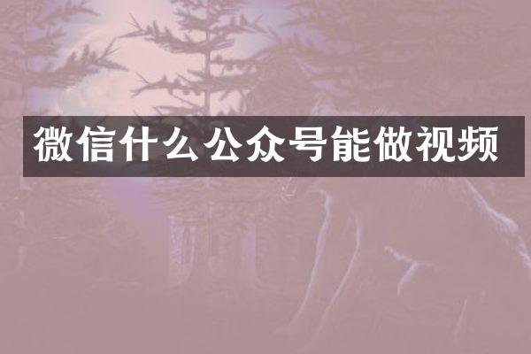 微信什么公众号能做视频