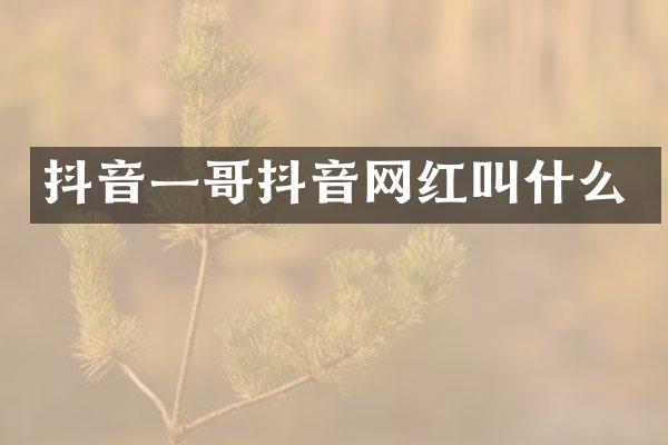 抖音一哥抖音网红叫什么