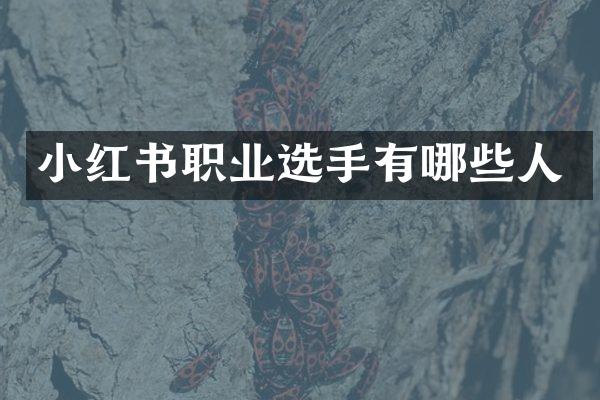 小红书职业选手有哪些人