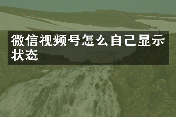 微信视频号怎么自己显示状态