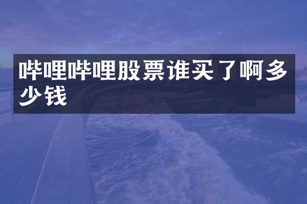 哔哩哔哩股票谁买了啊多少钱