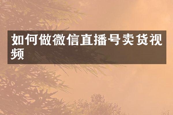 如何做微信直播号卖货视频