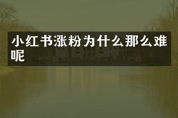 小红书涨粉为什么那么难呢