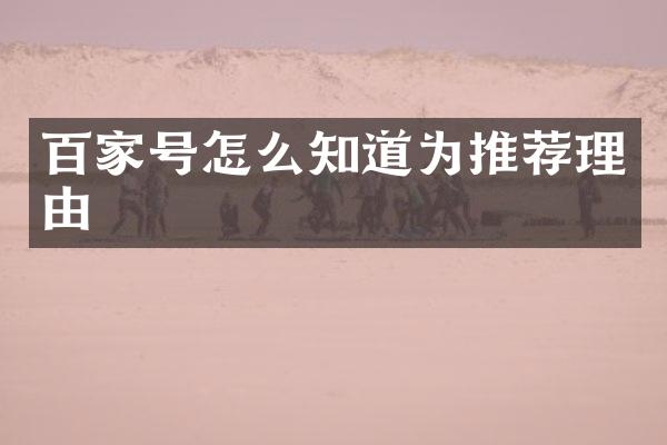 百家号怎么知道为推荐理由