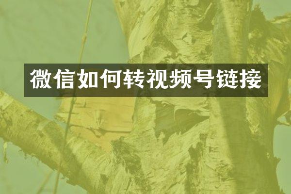 微信如何转视频号链接