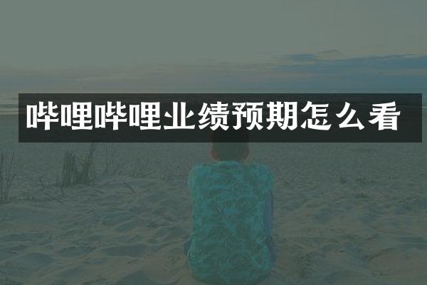 哔哩哔哩业绩预期怎么看