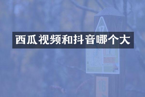 西瓜视频和抖音哪个大