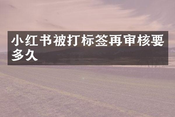 小红书被打标签再审核要多久