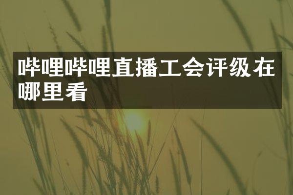 哔哩哔哩直播工会评级在哪里看