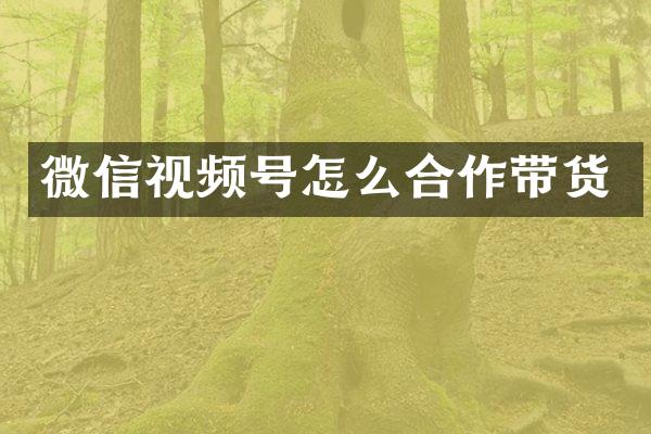 微信视频号怎么合作带货