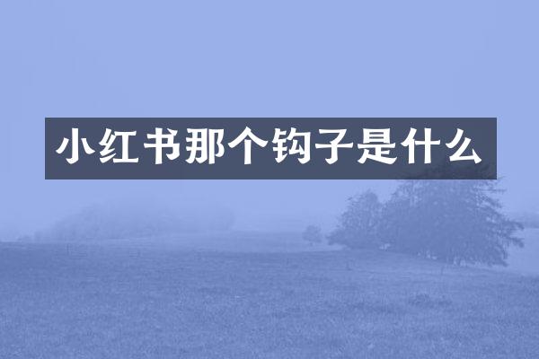 小红书那个钩子是什么