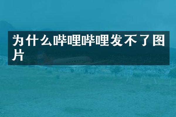 为什么哔哩哔哩发不了图片