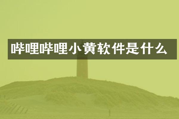哔哩哔哩小黄软件是什么