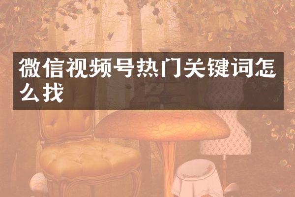 微信视频号热门关键词怎么找