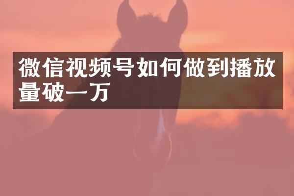 微信视频号如何做到播放量破一万