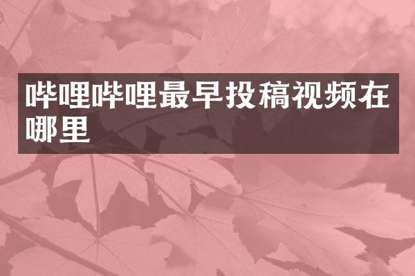 哔哩哔哩最早投稿视频在哪里