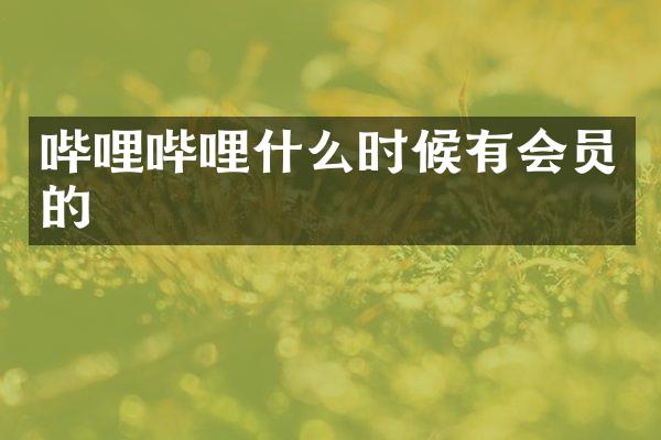 哔哩哔哩什么时候有会员的