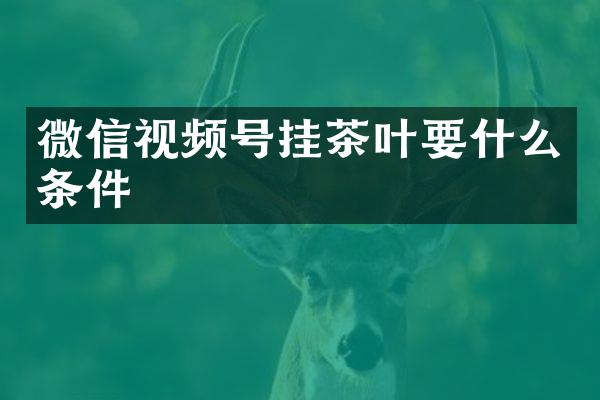 微信视频号挂茶叶要什么条件