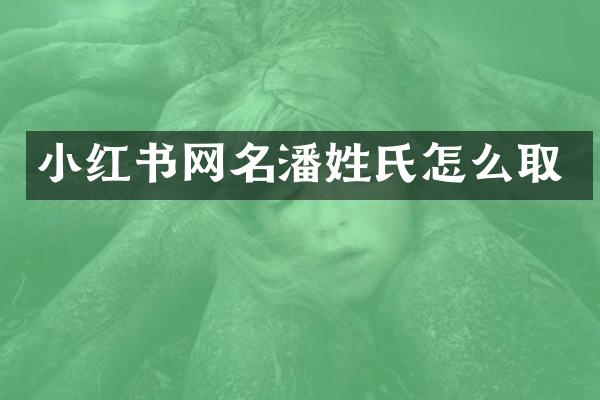 小红书网名潘姓氏怎么取