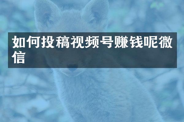如何投稿视频号赚钱呢微信