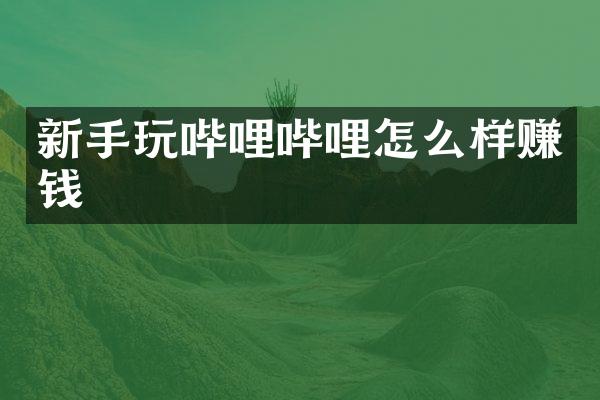 新手玩哔哩哔哩怎么样赚钱