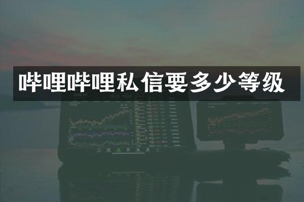哔哩哔哩私信要多少等级