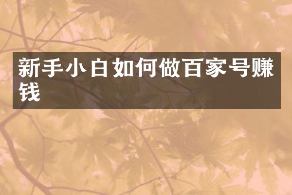 新手小白如何做百家号赚钱