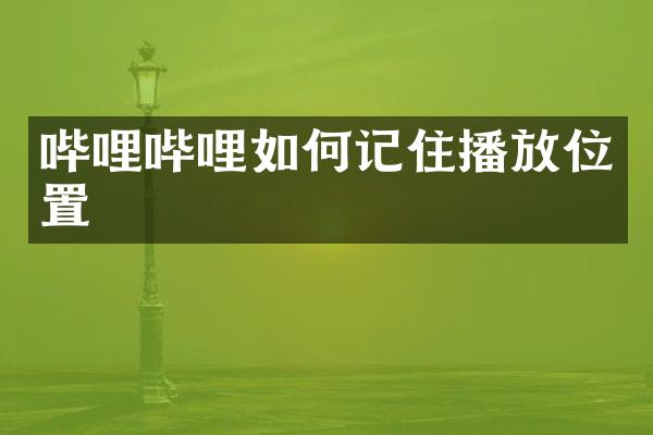 哔哩哔哩如何记住播放位置