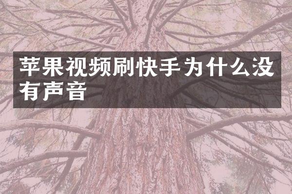 苹果视频刷快手为什么没有声音