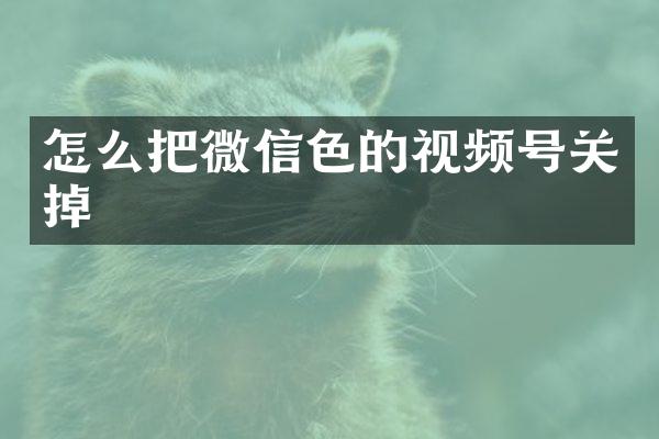怎么把微信色的视频号关掉
