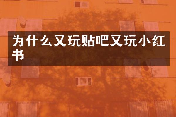 为什么又玩贴吧又玩小红书