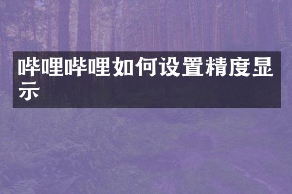 哔哩哔哩如何设置精度显示