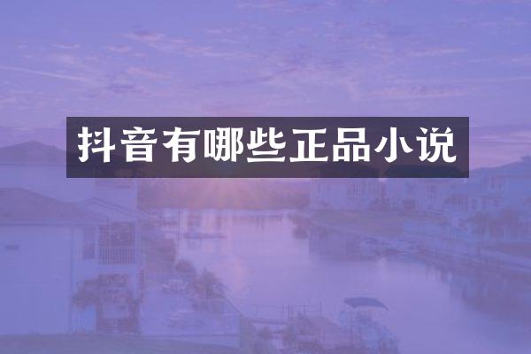 抖音有哪些正品小说