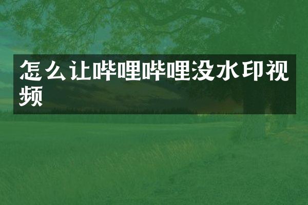 怎么让哔哩哔哩没水印视频